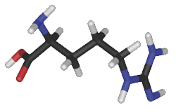 Di-arginine alpha ketoglutarate